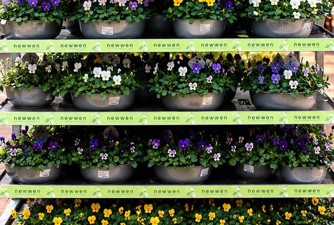 Garden-centre rack fitted with green newwen Cart Price Channels on every shelf