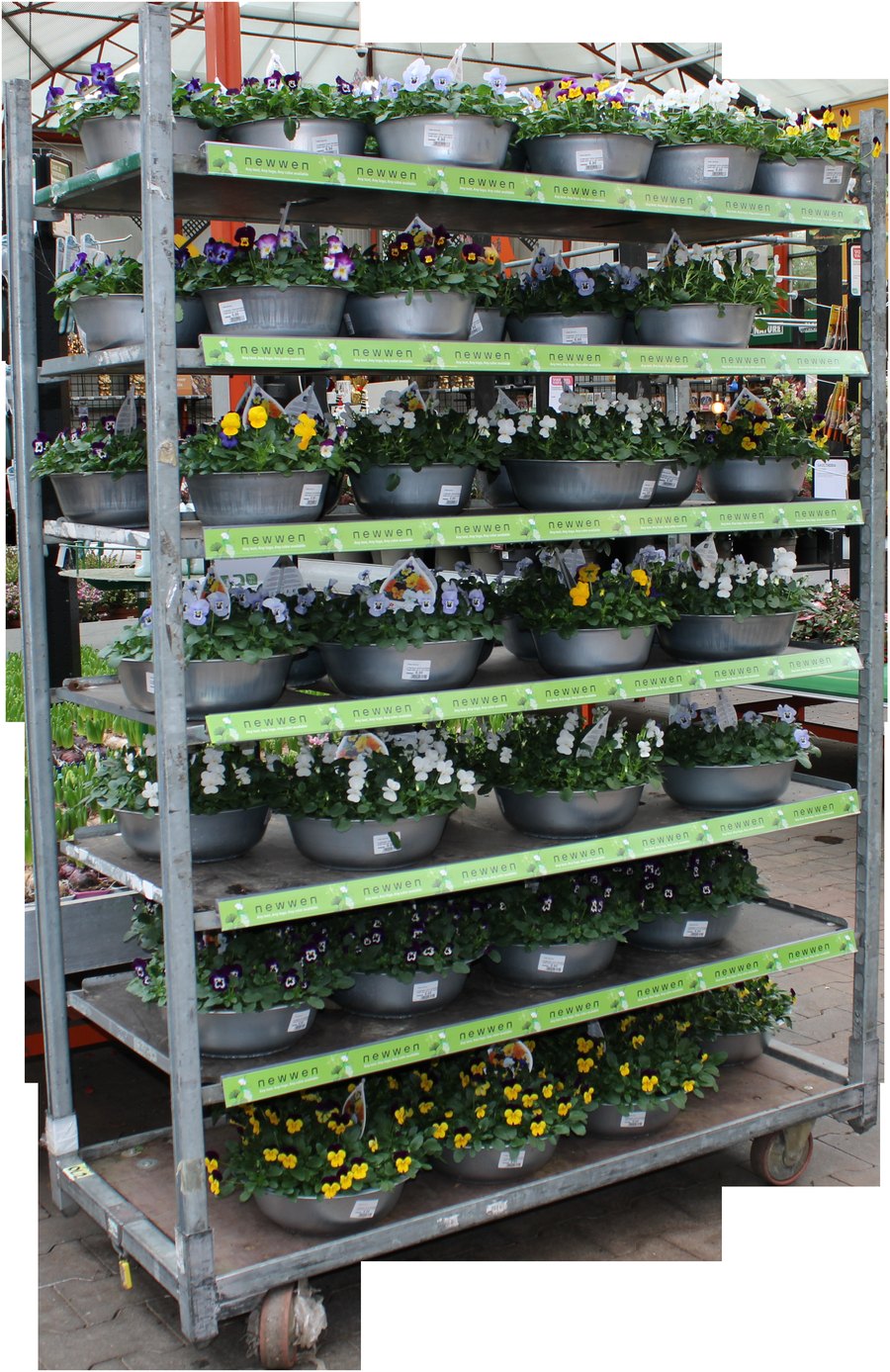 Plastic Price Strip
