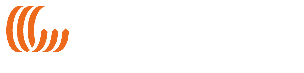 Van Vliet
